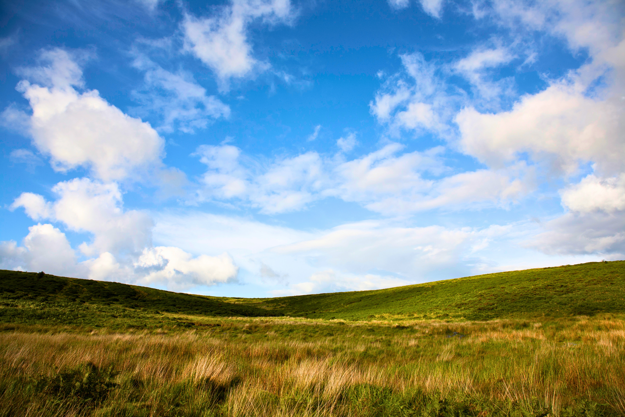 dartmoor national park (2).webp